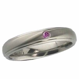 Diamond Wedding Ring Titanium (2205PDS)